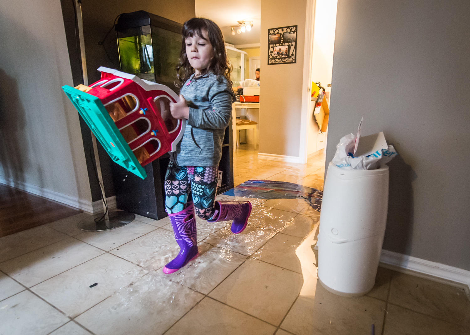 Image 20170506_InondationsIleBizard[JLEMAY]_87.jpg